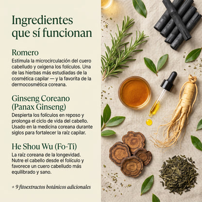 Korean Scalp Bar — Fórmula Postparto